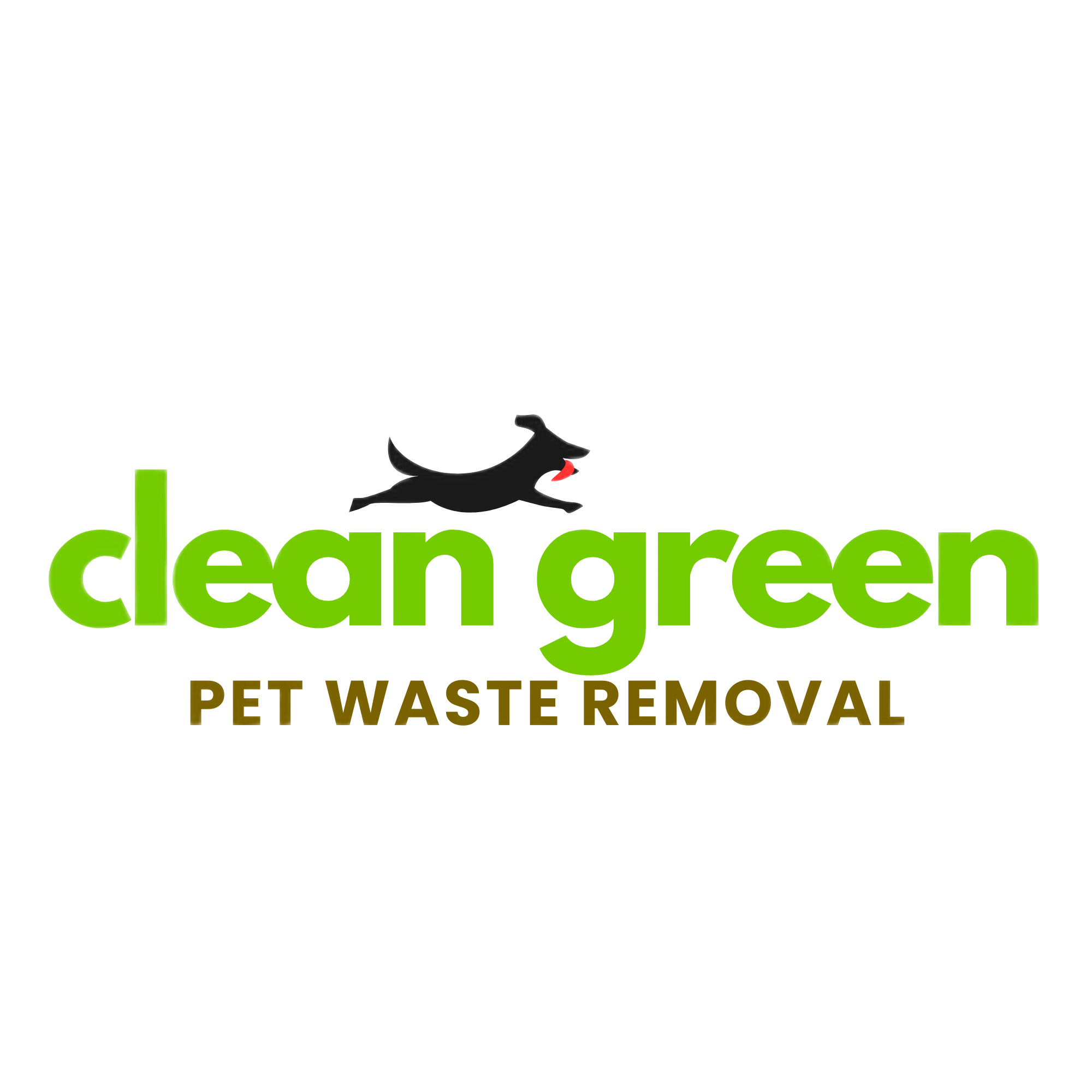 logo transparent